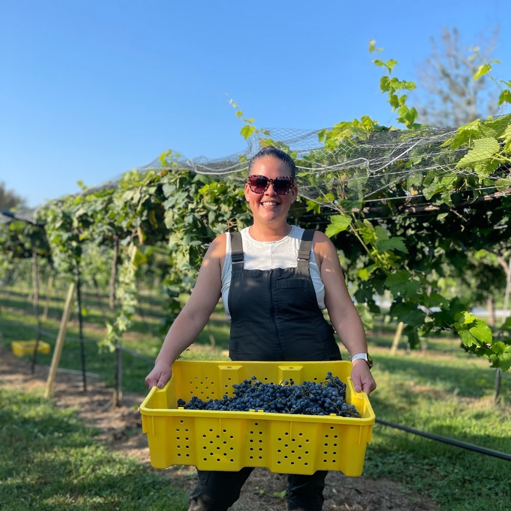 Meet your Posher, Melissa